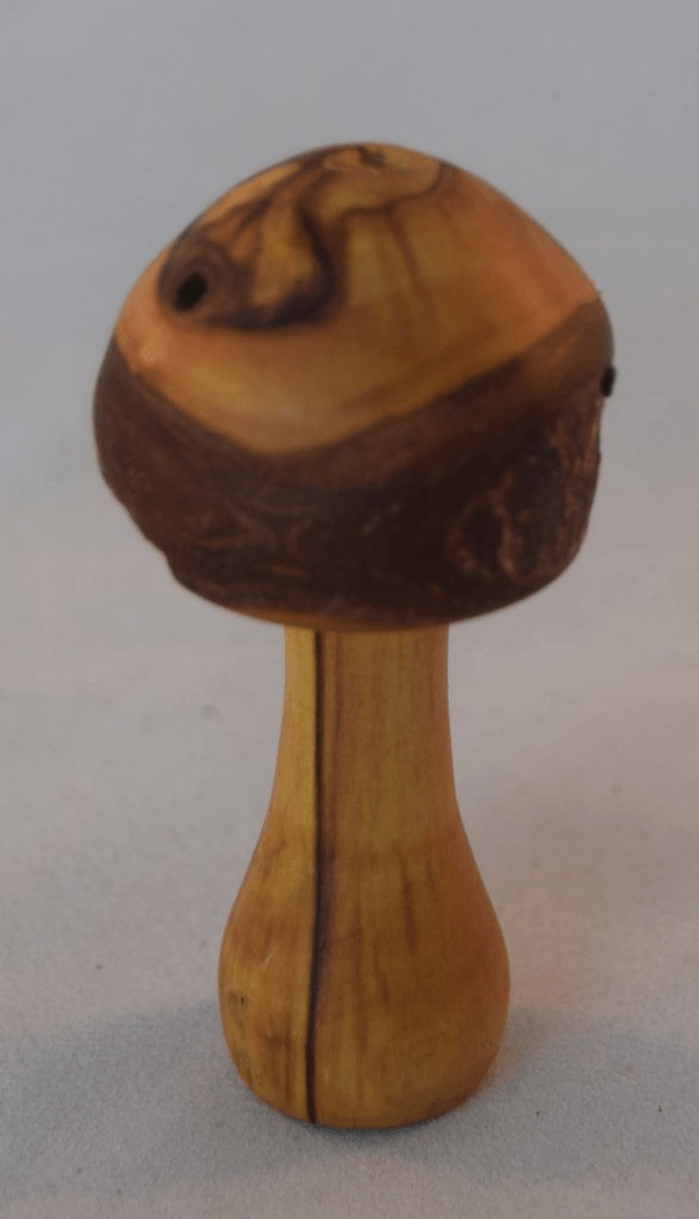 Kleine paddenstoel