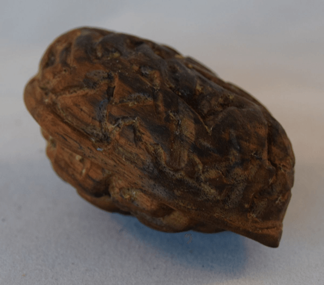houtsnijwerk, halve walnoot - walnoot (hout)