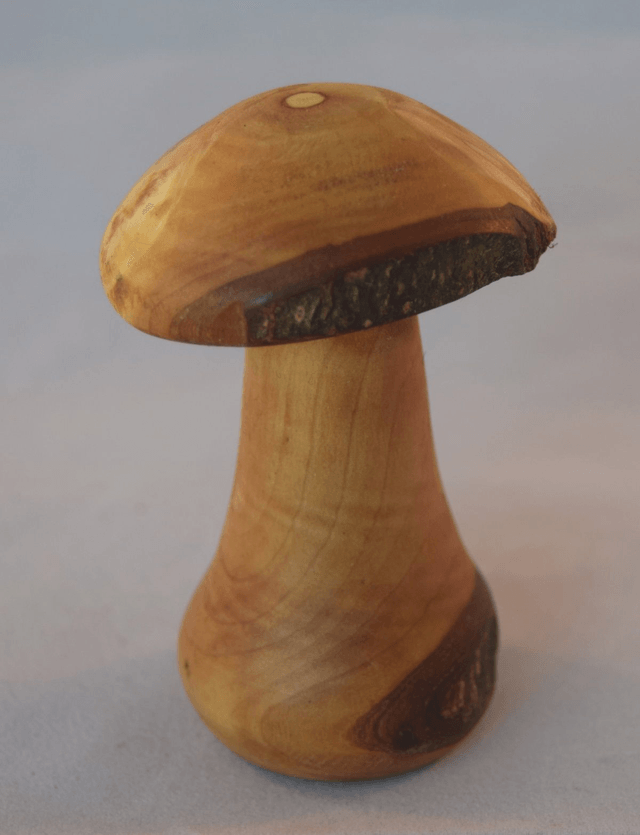Medium Paddenstoel