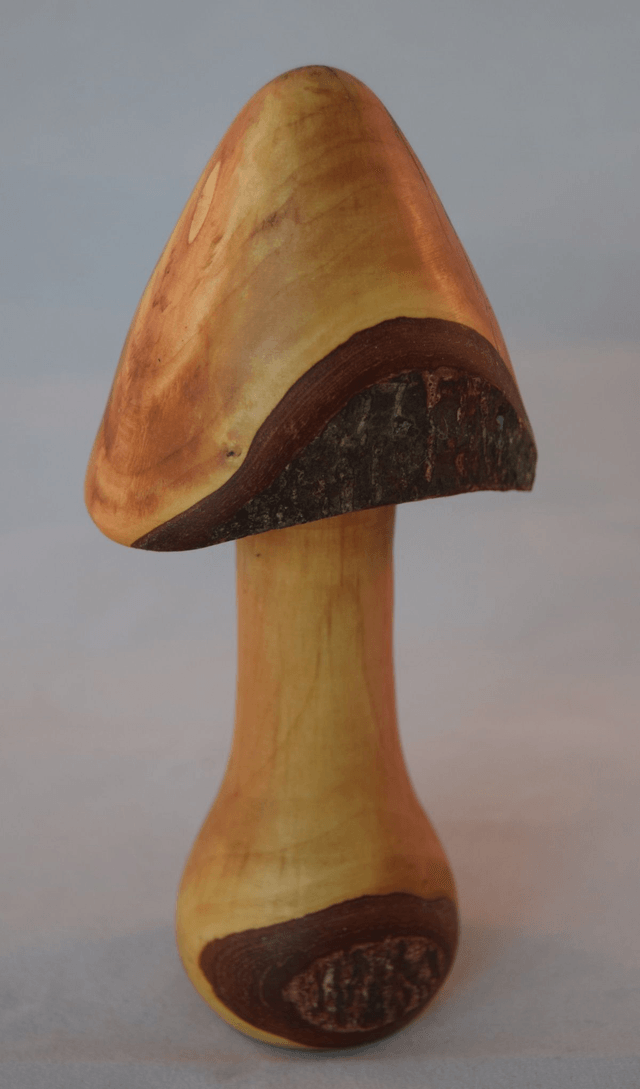 grote paddenstoel