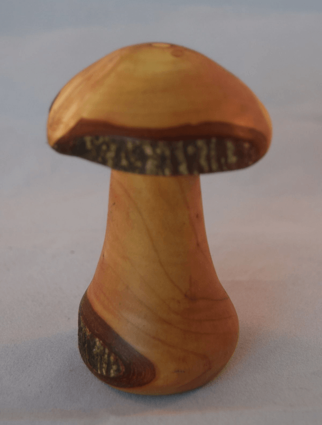 Medium Paddenstoel