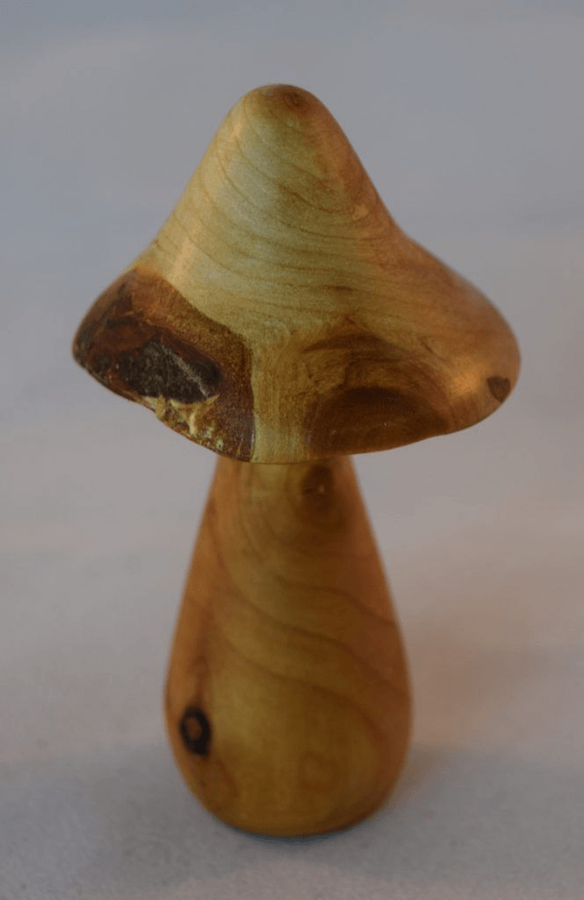 Kleine paddenstoel