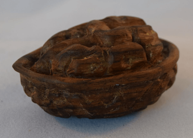houtsnijwerk, halve walnoot - walnoot (hout)