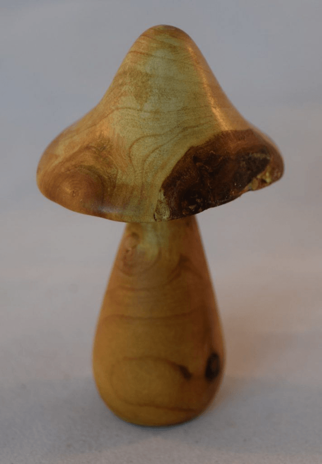 Kleine paddenstoel