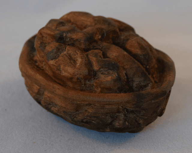 houtsnijwerk, halve walnoot - walnoot (hout)