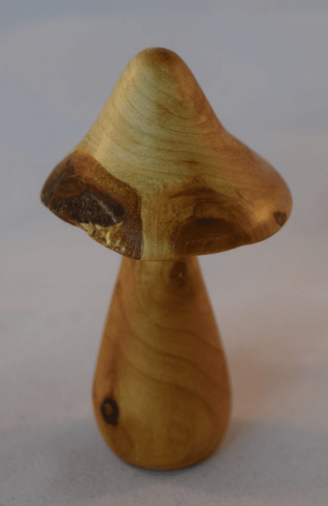 Kleine paddenstoel